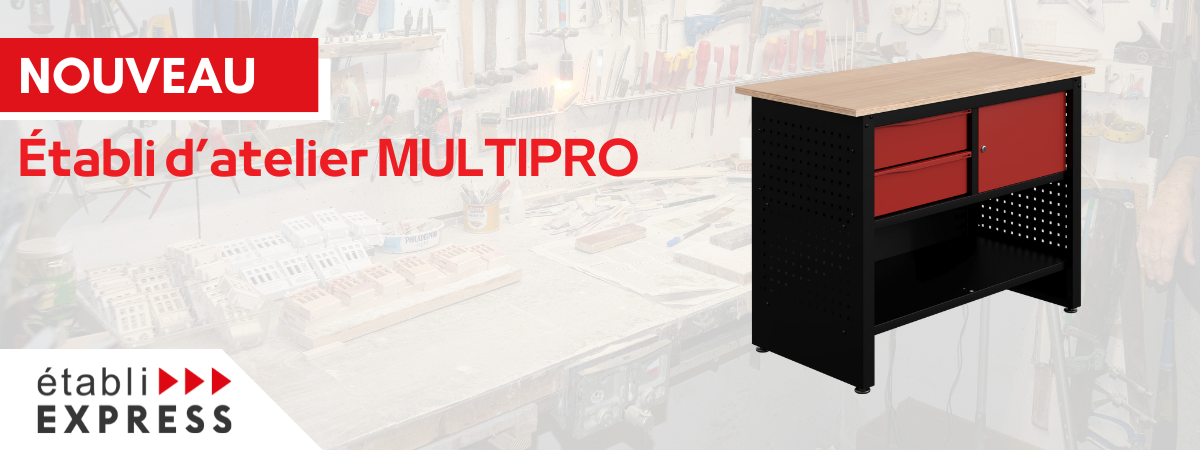 Nouveauté : MULTIPRO